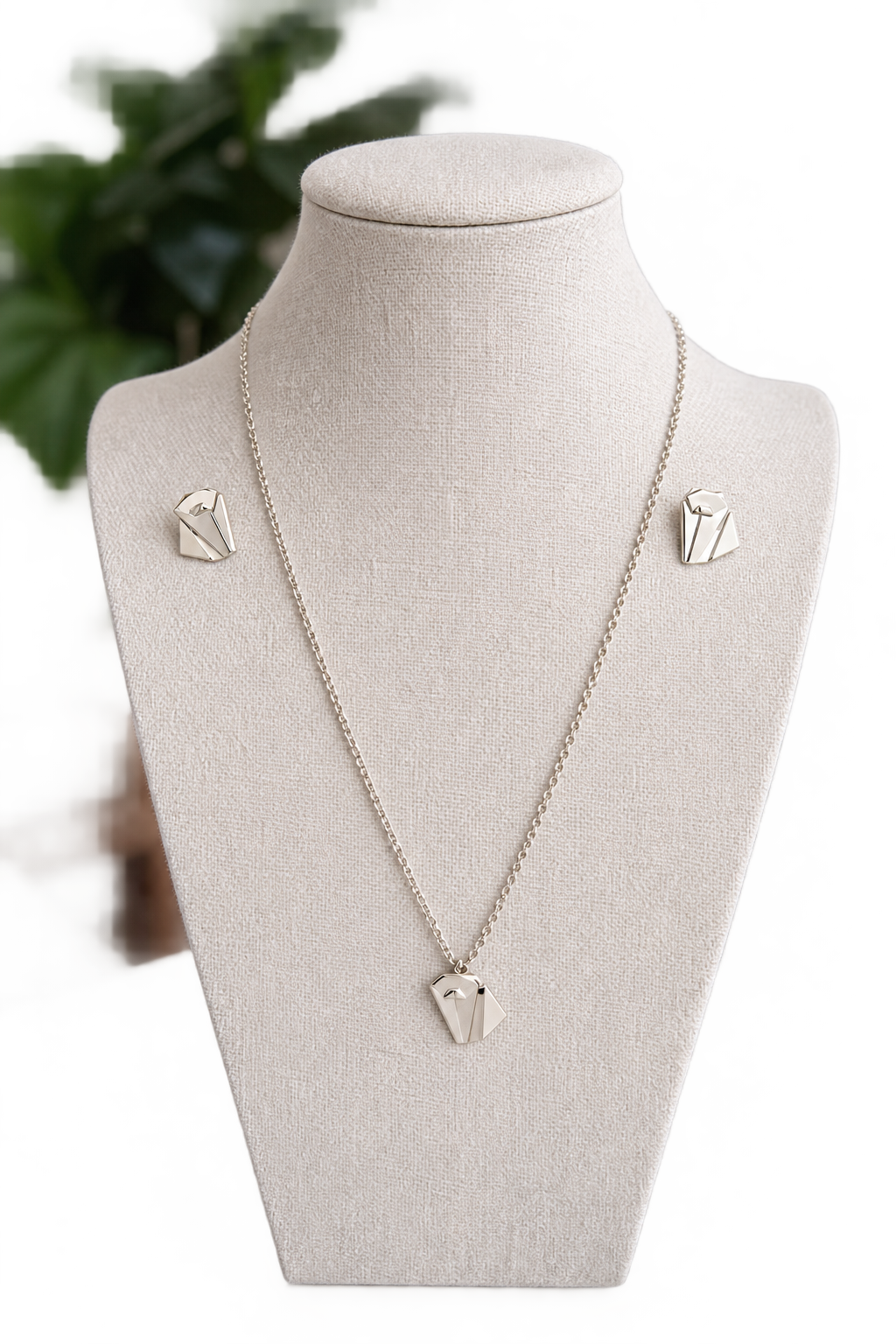 Conjunto Gato