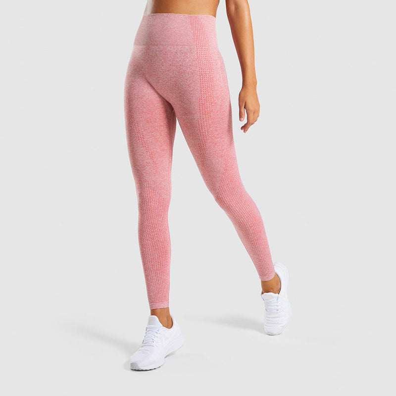 Sans soudure Jacquard Petit Gym