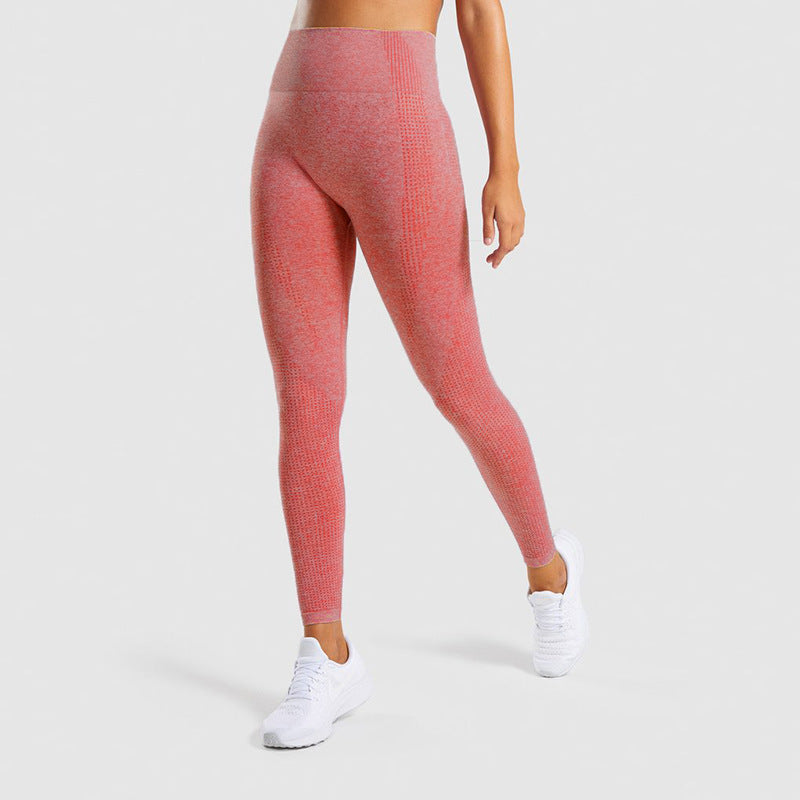 Sans soudure Jacquard Petit Gym